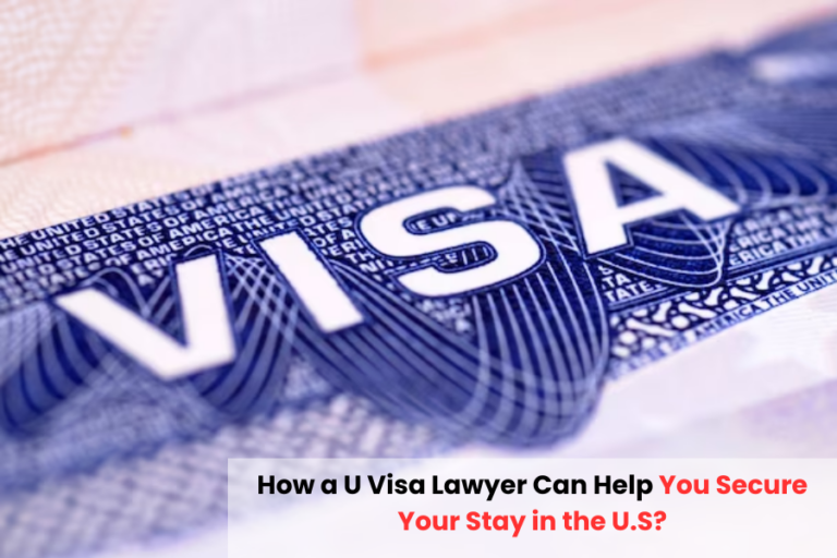 How a U Visa Lawyer Can Help You Secure Your Stay in the U.S?