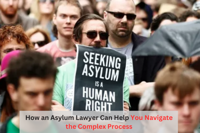 How an Asylum Lawyer Can Help You Navigate the Complex Process