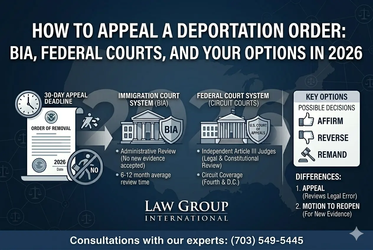 how to appeal a deporation order